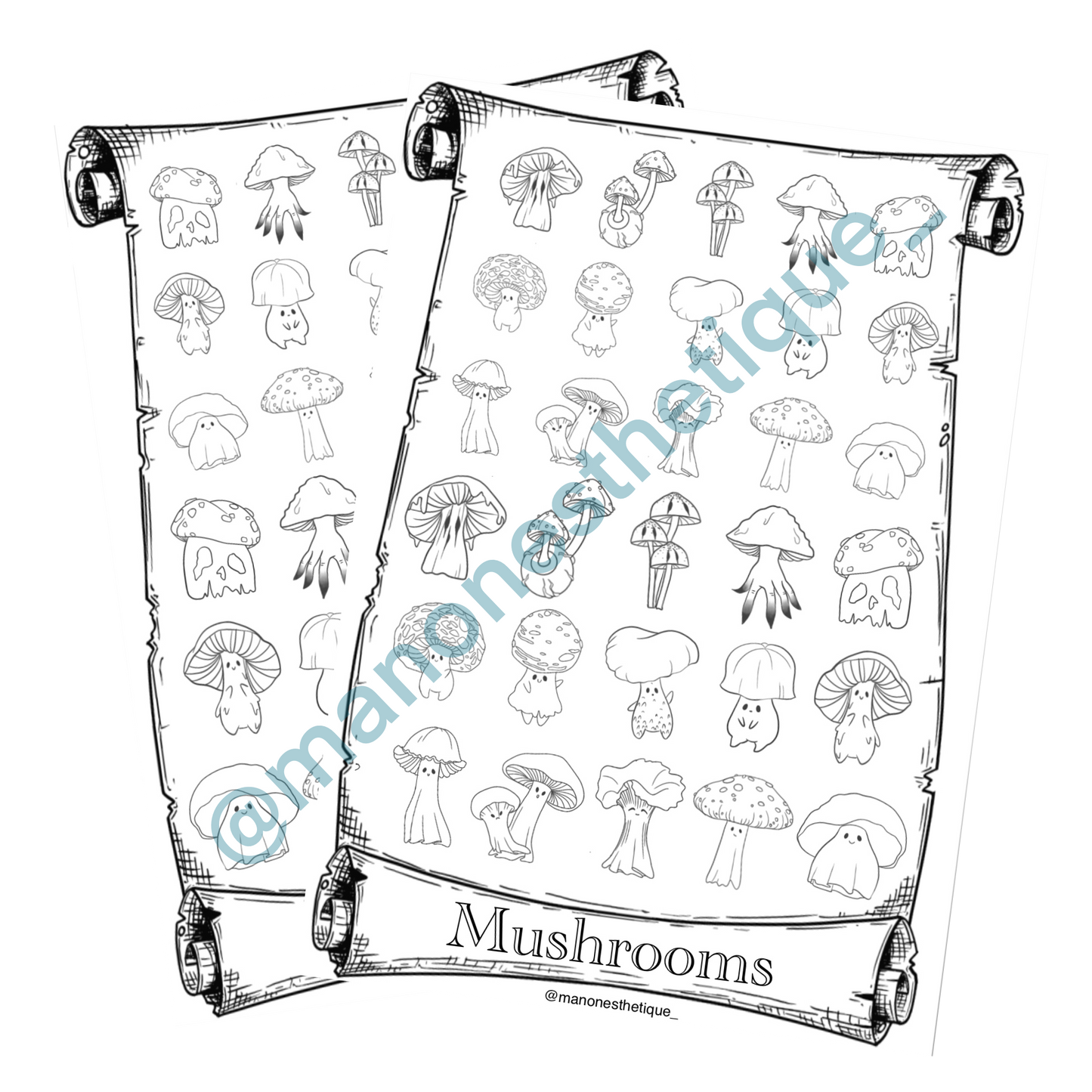 CHAMPIGNONS (format PDF)